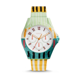 Bracelet de montre (Combinaison bracelet + cas) Fossil ES4244 Silicone Multicolore